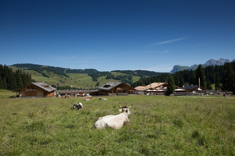 Tirler - Dolomites Living Hotel