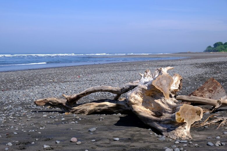 Hotel Wide Sands Beach Retreat