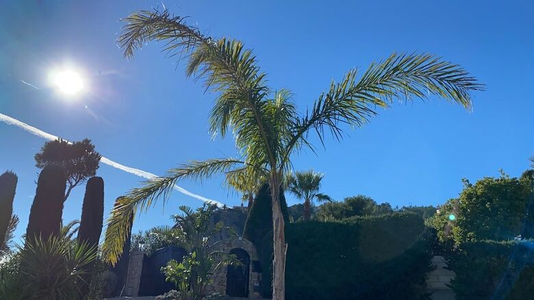 Cannes Mandelieu/theoule Border Lovely 6-bed Villa
