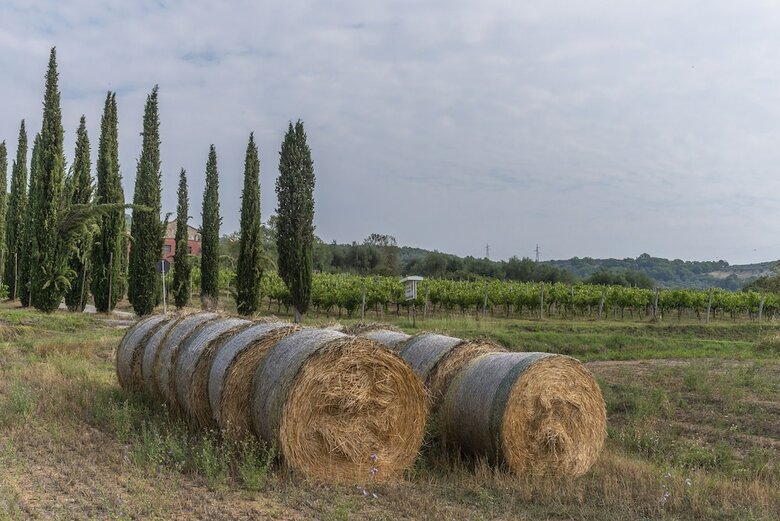 Agroturismo Agriturismo Le Case Rosse Di Montebuono