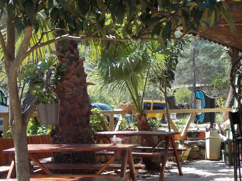 Hotel Olympos Orange