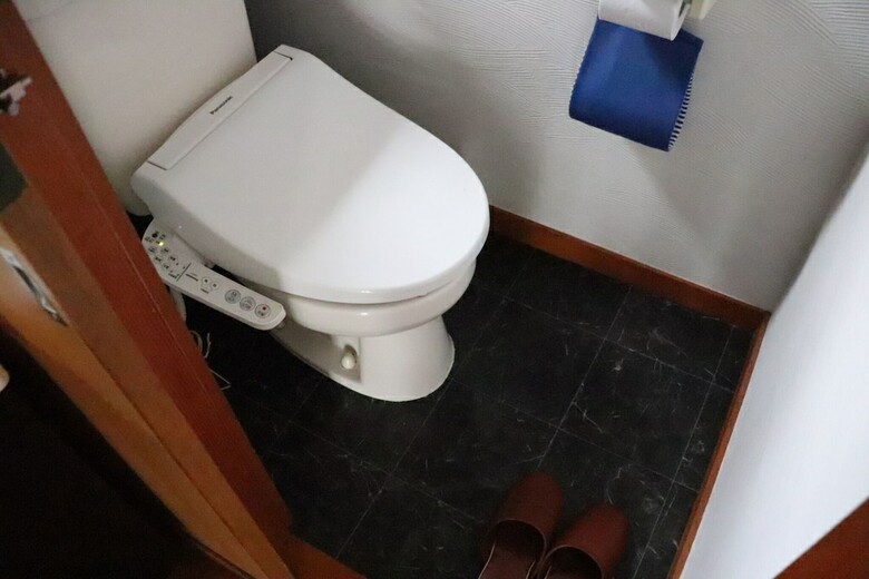 Taisho Modern Villa Zen