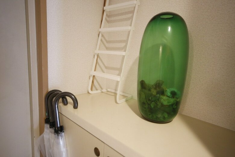 Apartamentos Pinehills Minoshima 707