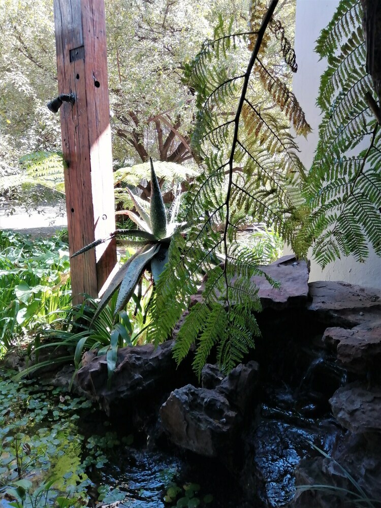 Bed & Breakfast Ikamu's Lodge