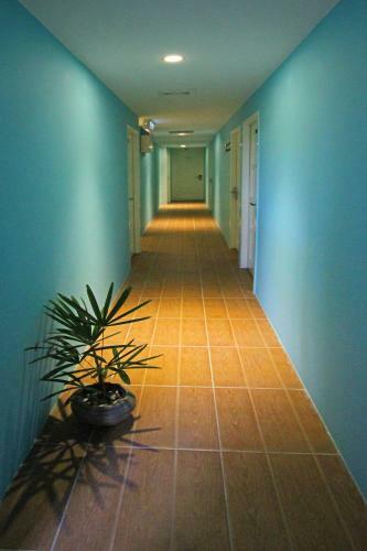 Hostal Dream City