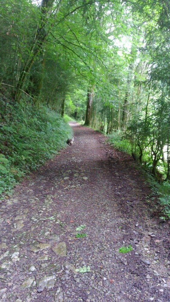 Les Hauts de Hurlevent Cottages