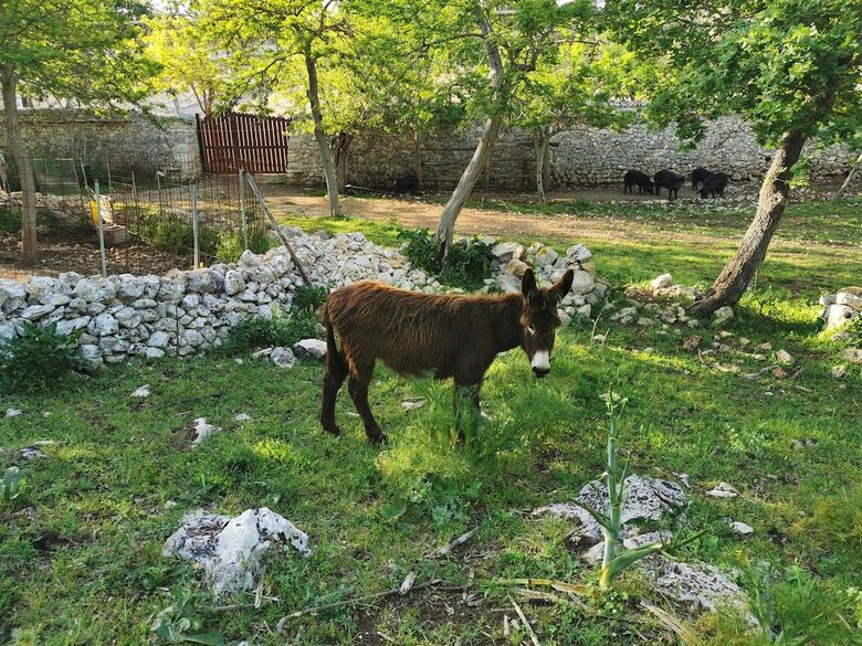 Agroturismo Tenuta Tedone Consolini