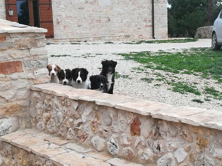 Agroturismo Tenuta Tedone Consolini