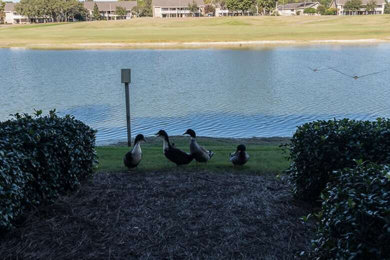 Lakefront By Seascape Resort
