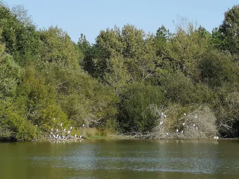 Hotel Eco Lodges Du Lac