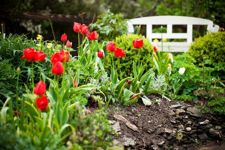 Bed & Breakfast Spring Cottage - Adults Only