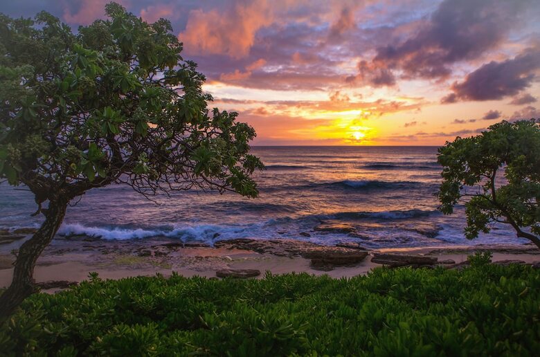 Apartamento Turtle Bay Resort