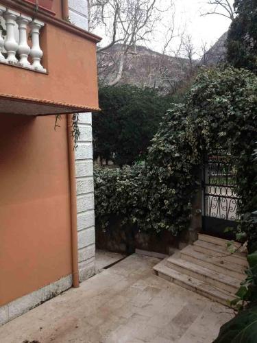 Apartments Vojin