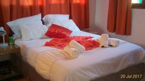 Hostal Marumadi Planeta Mocambique