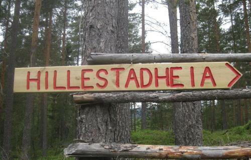 Holiday Home D�lemo Hillestadheia VI
