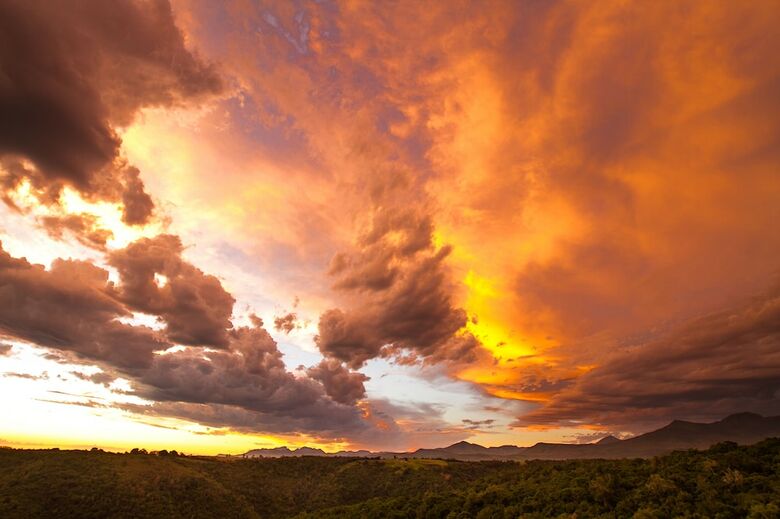 Cabana Teniqua Treetops