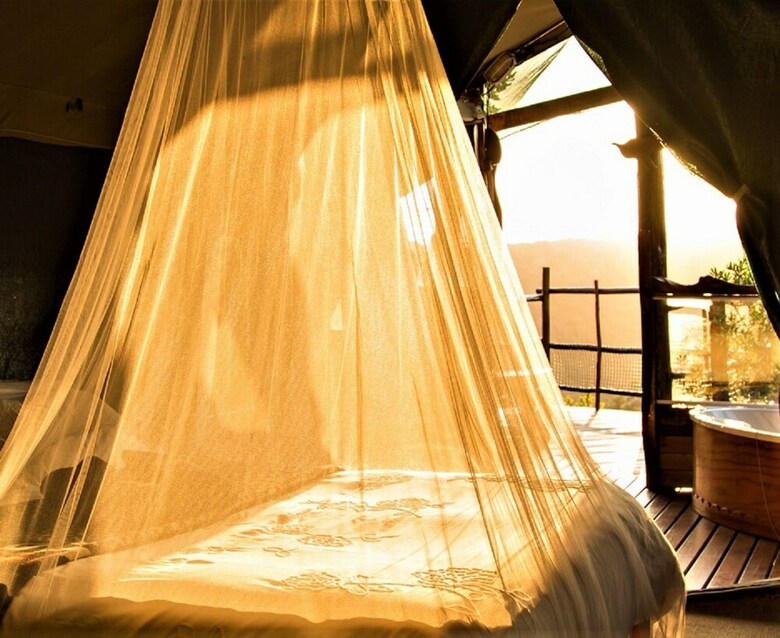 Cabana Teniqua Treetops