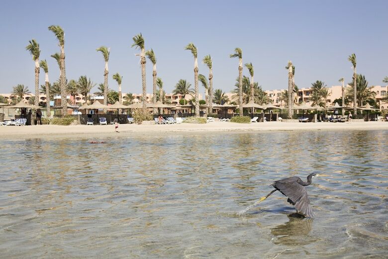 Hotel Elphistone Resort - Marsa Alam