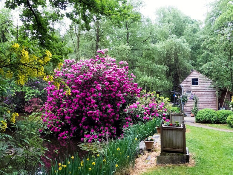 Delightful Chalet In Opglabbeek Near Lake