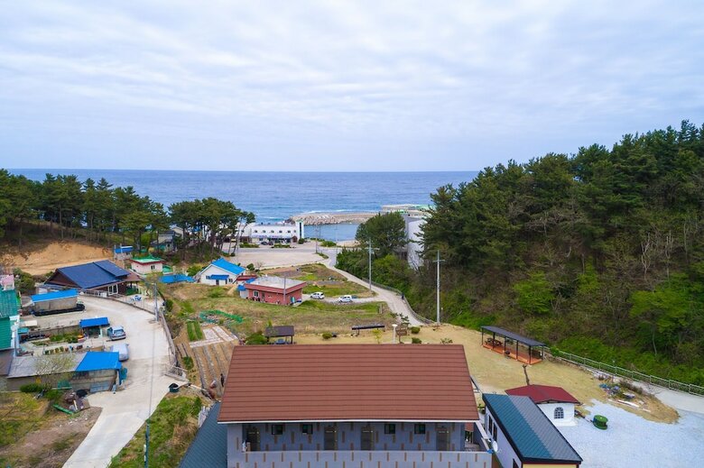Dolbit Pension