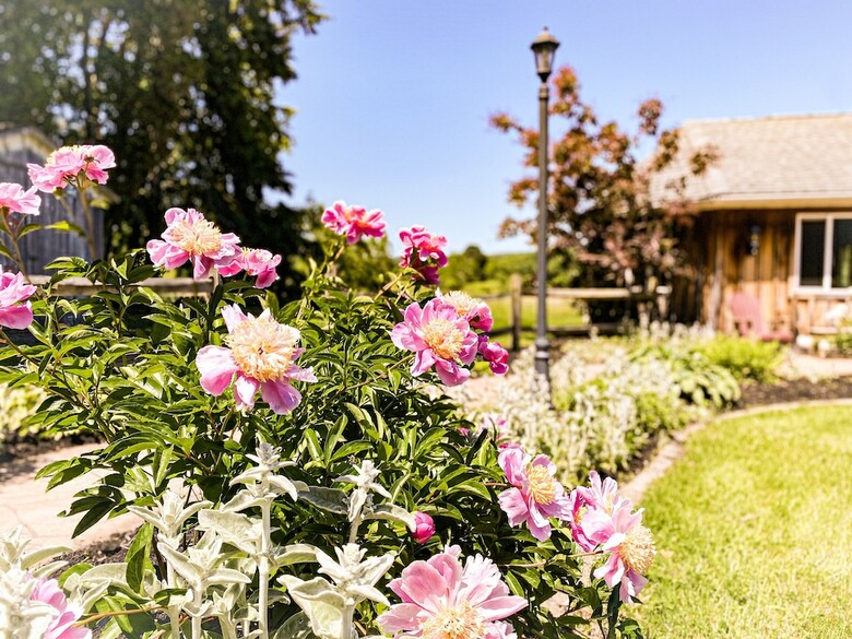Bed & Breakfast Butler House At The Cherry Creek Inn
