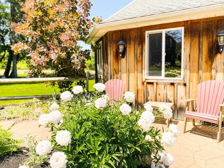 Bed & Breakfast Butler House At The Cherry Creek Inn