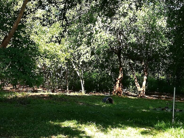 Posada Mount Hermon Safari Cottages