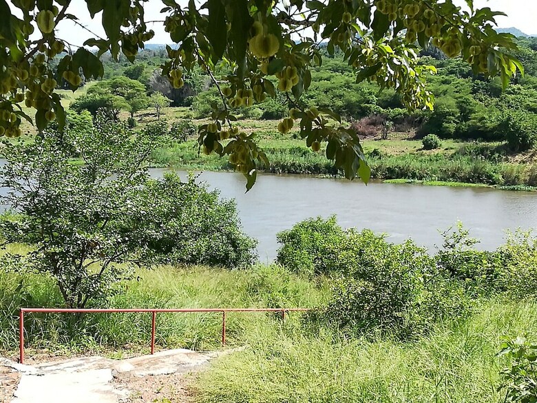 Posada Mount Hermon Safari Cottages