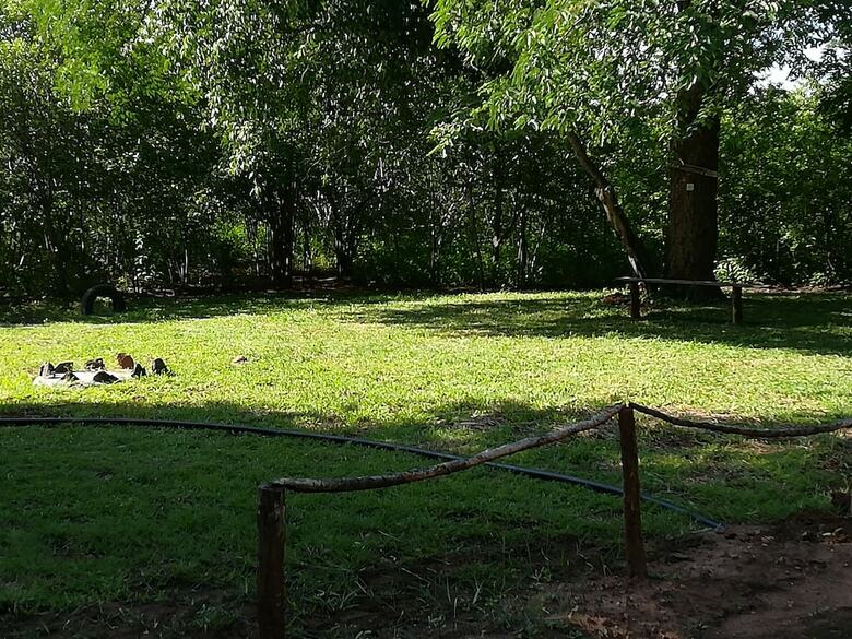 Posada Mount Hermon Safari Cottages