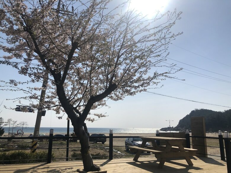 Hotel Goseong Bokee House
