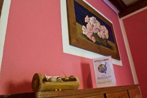 Bed & Breakfast Naturalmente Boutique Bungalows
