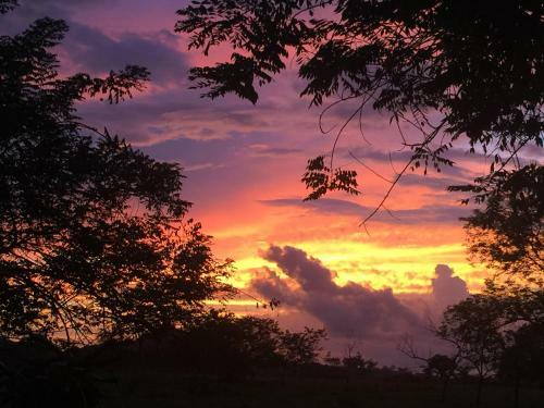 Bed & Breakfast Naturalmente Boutique Bungalows