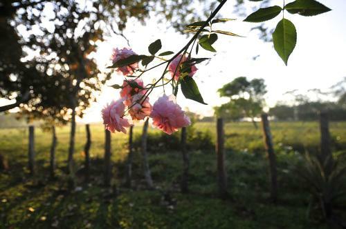 Bed & Breakfast Naturalmente Boutique Bungalows