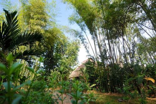 Bed & Breakfast Naturalmente Boutique Bungalows
