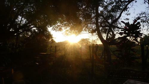 Bed & Breakfast Naturalmente Boutique Bungalows