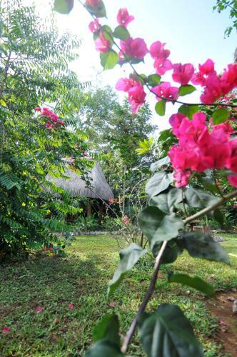 Bed & Breakfast Naturalmente Boutique Bungalows