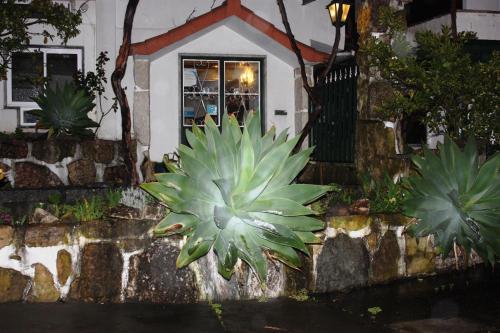 Hotel Casa Portuguesa