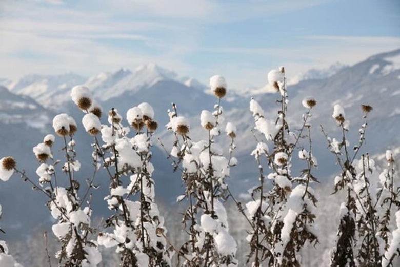 Bed & Breakfast Les Marm'h�tes