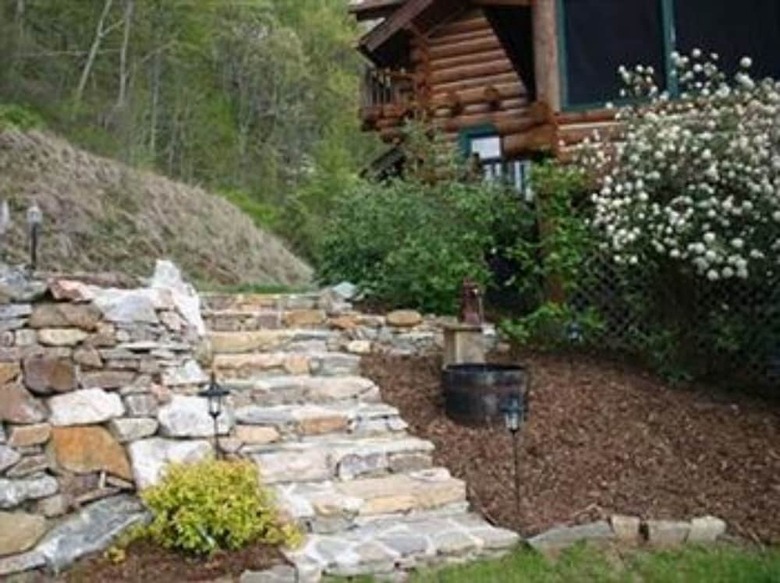Bed & Breakfast Wildberry Lodge