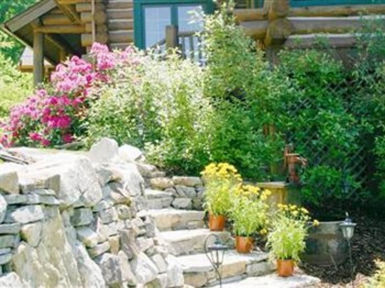 Bed & Breakfast Wildberry Lodge
