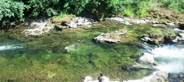 Apartamento Mckenzie River Mountain Resort