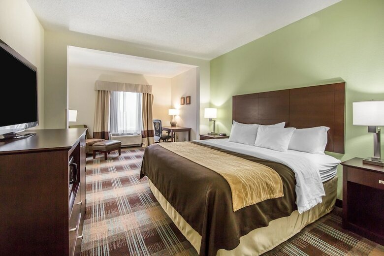 Hotel Comfort Inn Lexington South