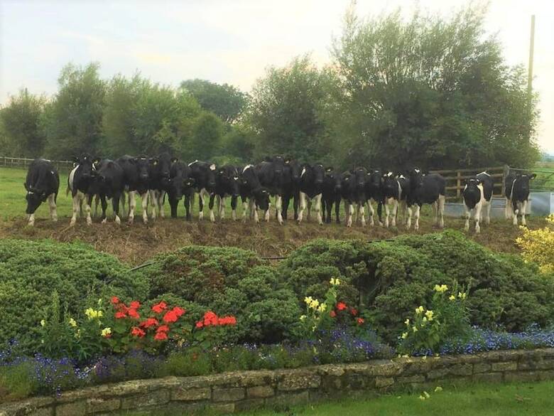 Bed & Breakfast Double-gate Farm