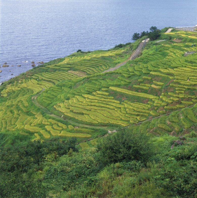 Hotel Kyukamura Noto-chirihama