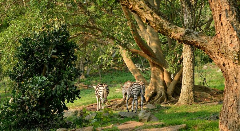 Posada Bundu Lodge