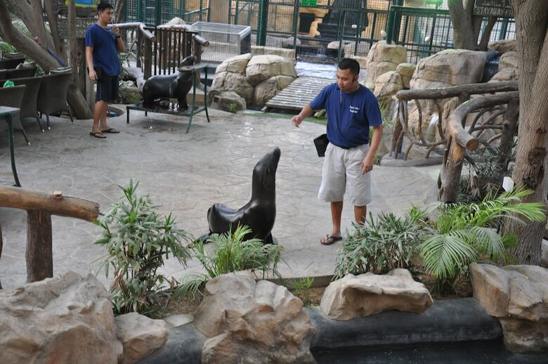 Hotel Emirates Park Resort