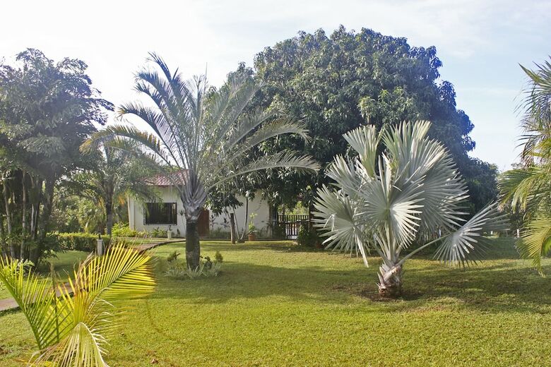 Hotel Guacamaya Lodge