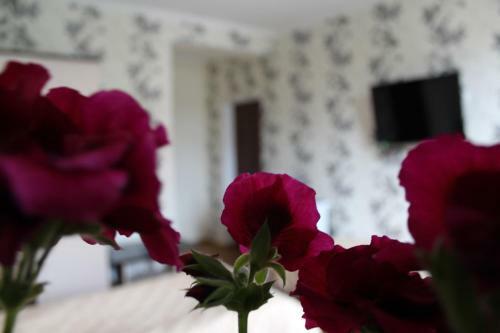 Hostal Angelina Guest House