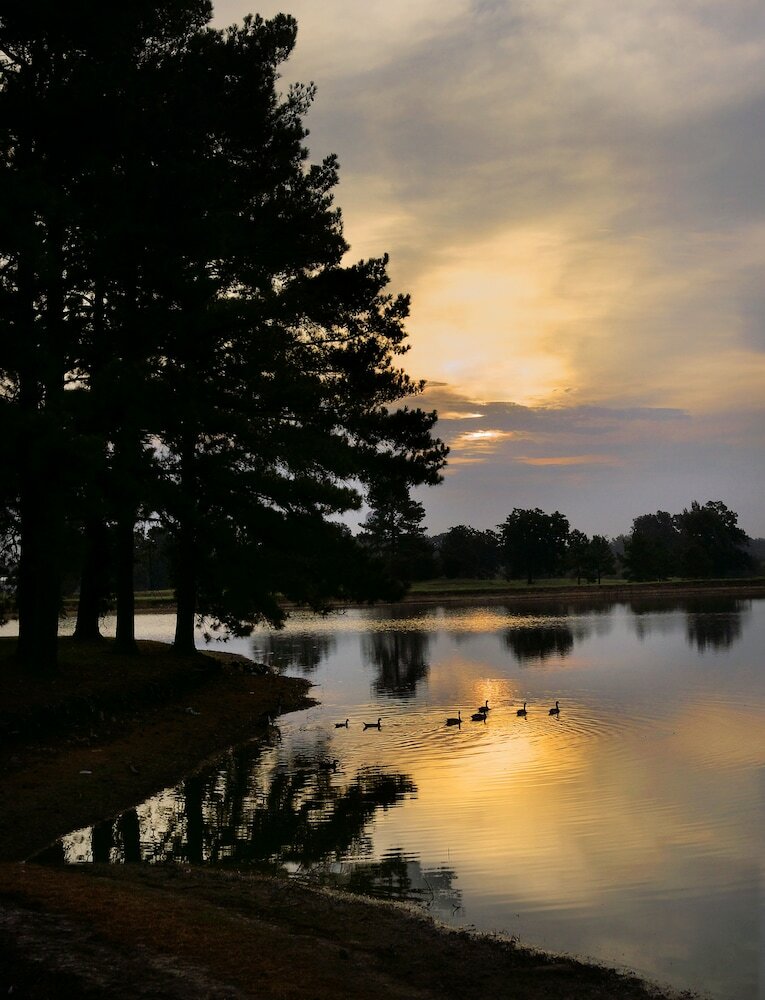 Whispering Woods Hotel & Conference Center
