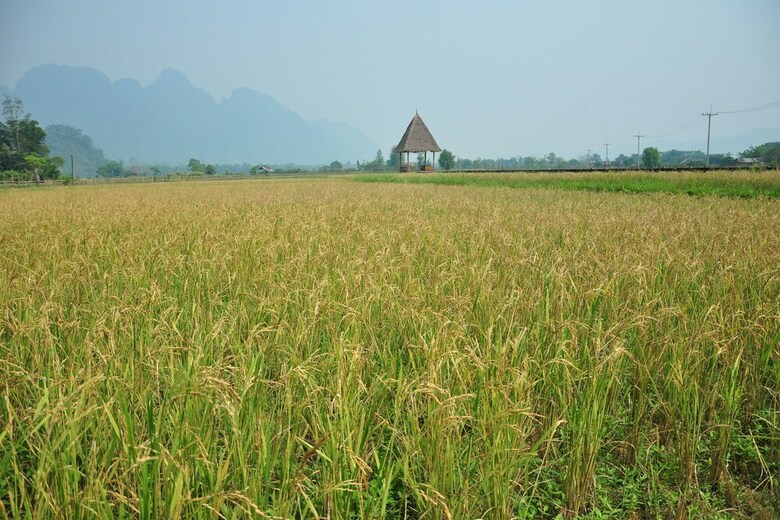 Cabana Vieng Tara Villa